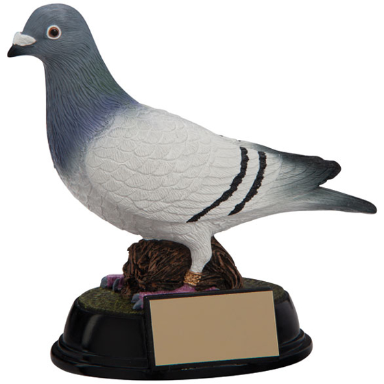 Elite Pigeon Racing Award 145mm