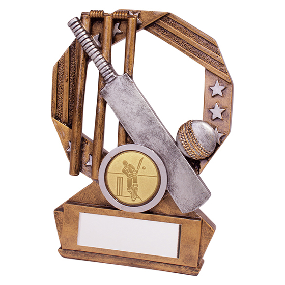 Enigma Cricket Award 120mm