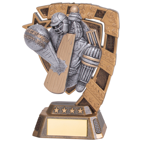 Euphoria Cricket Player Award 130mm