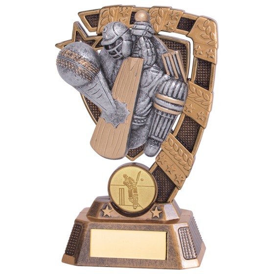 Euphoria Cricket Player Award 150mm