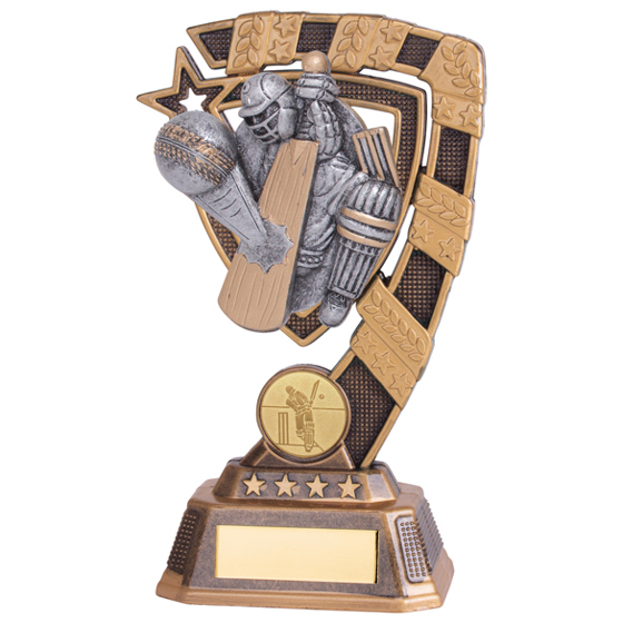 Euphoria Cricket Player Award 180mm