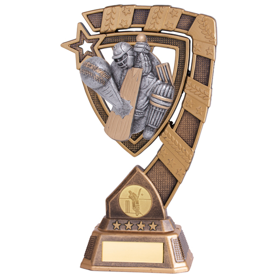 Euphoria Cricket Player Award 210mm