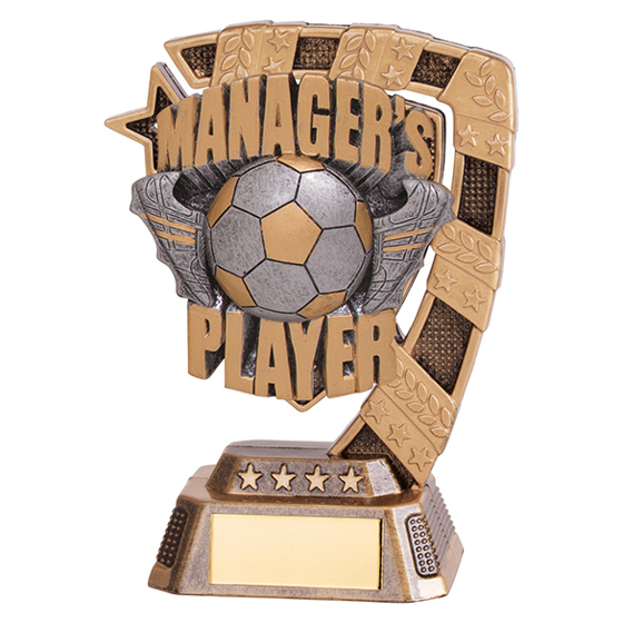 Euphoria Football Managers Player Award 130mm