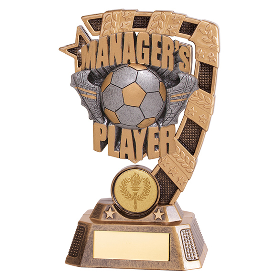 Euphoria Football Managers Player Award 150mm