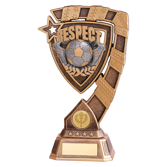 Euphoria Football Respect Award 210mm