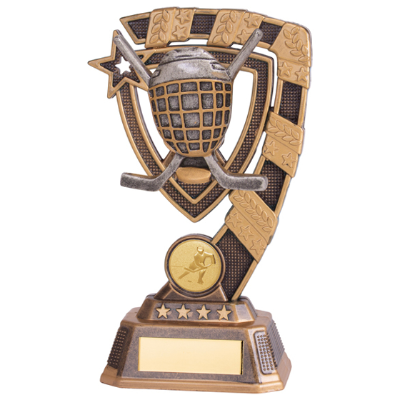 Euphoria Ice Hockey Award 180mm