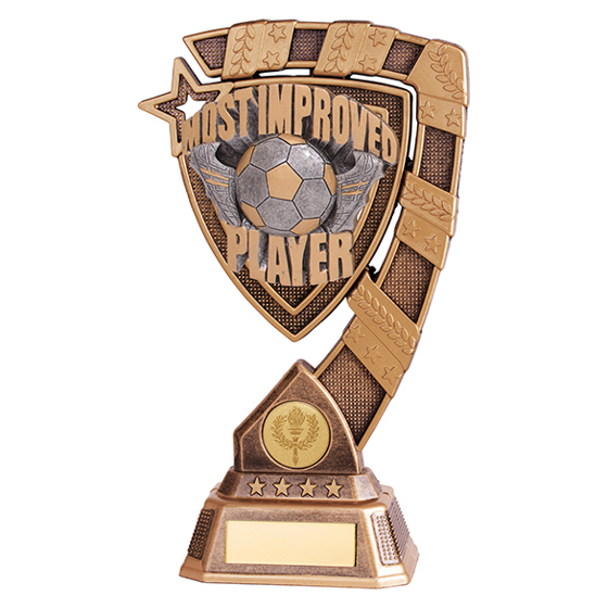 Euphoria Most Improved Player Award 210mm