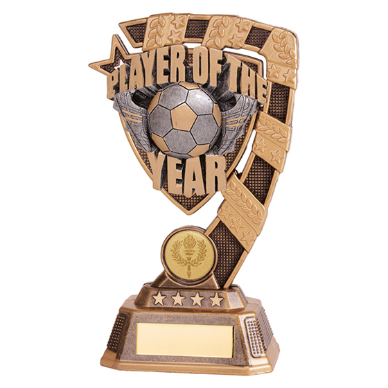 Euphoria Player of The Year Award 180mm