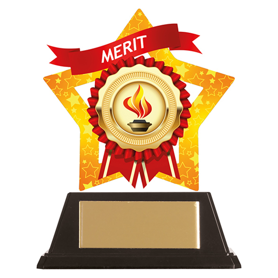 Mini-Star Merit Acrylic Plaque 100mm
