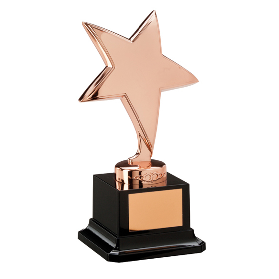 The Challenger Star Bronze Award 165mm