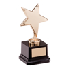 The Challenger Star Gold Award 155mm