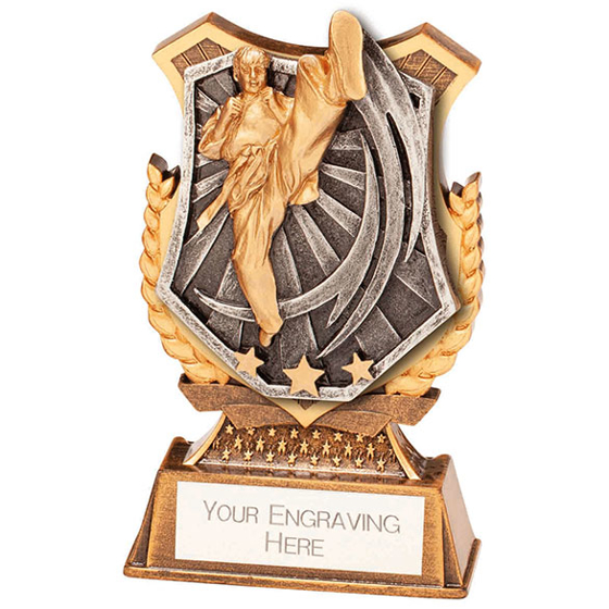 Titan Karate Award 125mm