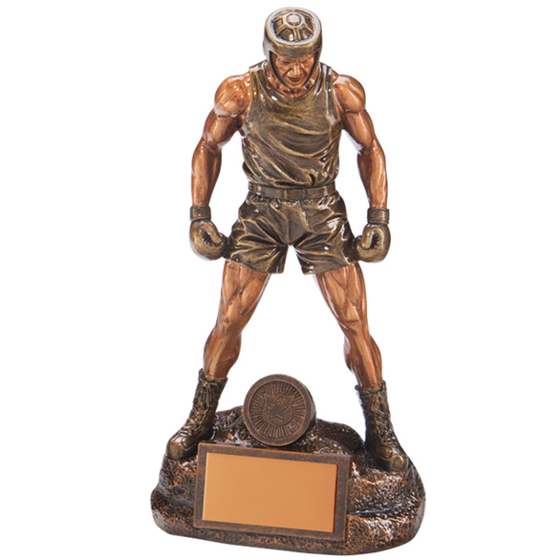 Ultimate Boxing Award 265mm