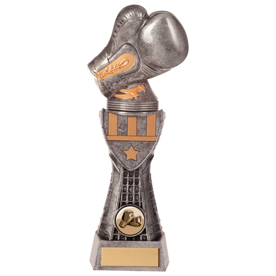 Valiant Boxing Award 250mm
