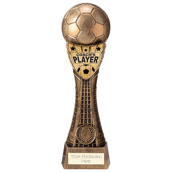 Valiant Football Coachs Player Award 245mm