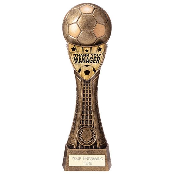 Valiant Football Manager Thanks Award 245mm