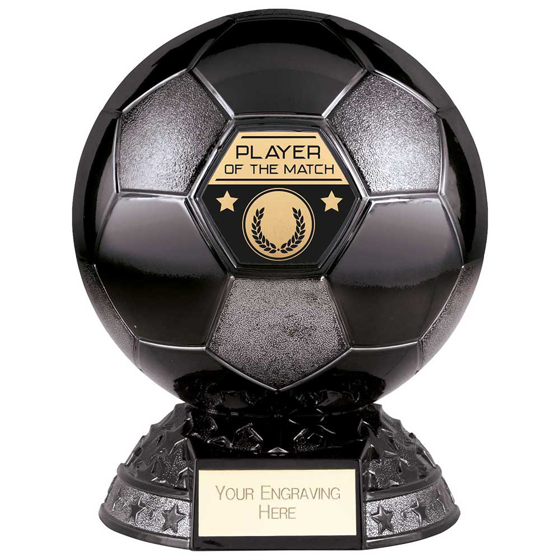 Picture of Elite Heavyweight Player of Match Award Black 185mm