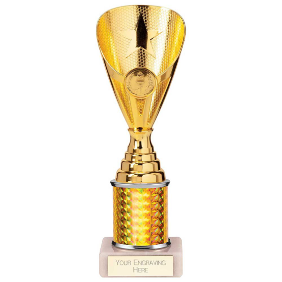 Picture of Rising Stars Plastic Trophy Gold 230mm
