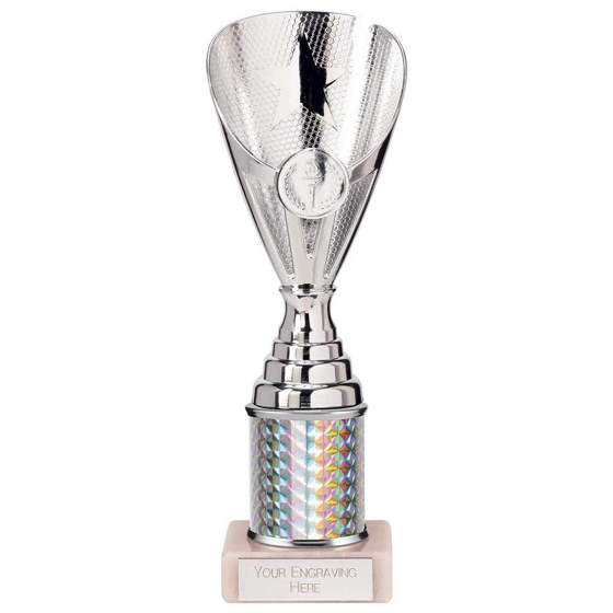 Picture of Rising Stars Plastic Trophy Silver 230mm