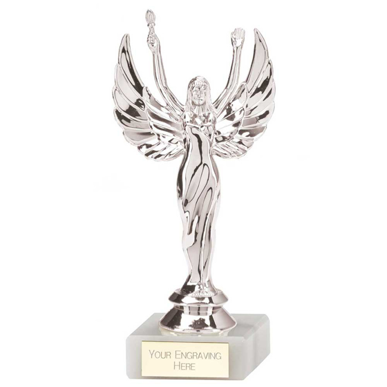 Picture of Victory Multisport Award Silver 160mm