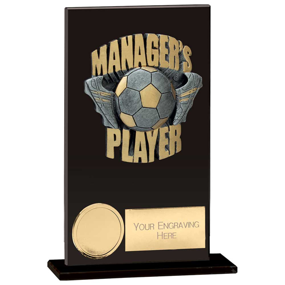 Picture of Euphoria Hero Managers Player Award Jet Black 140mm