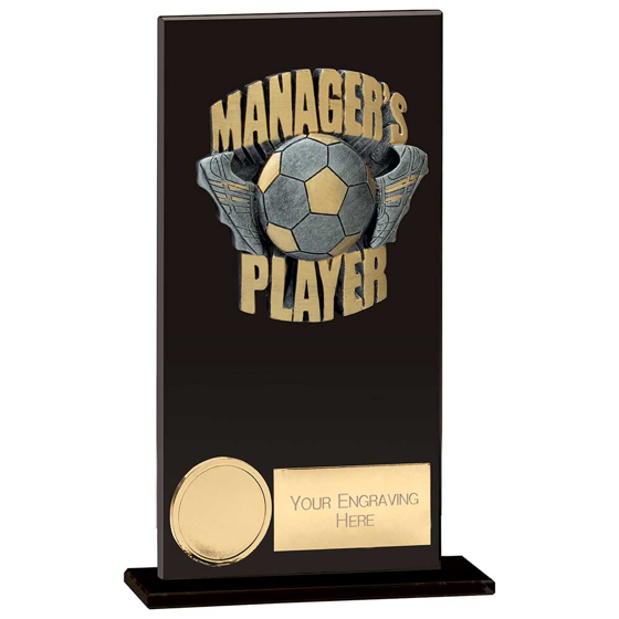 Picture of Euphoria Hero Managers Player Award Jet Black 160mm