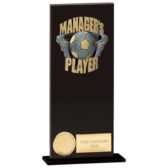 Picture of Euphoria Hero Managers Player Award Jet Black 200mm