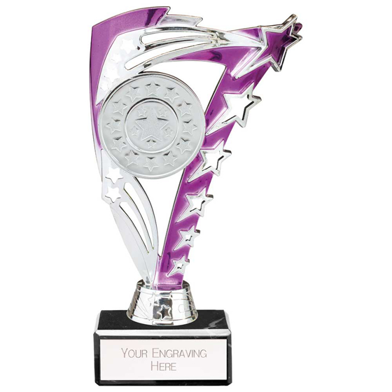 Picture of Frenzy Multisport Trophy Silver & Purple 185mm