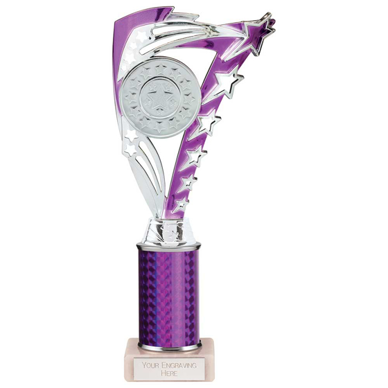 Picture of Frenzy Multisport Tube Trophy Silver & Purple 265mm