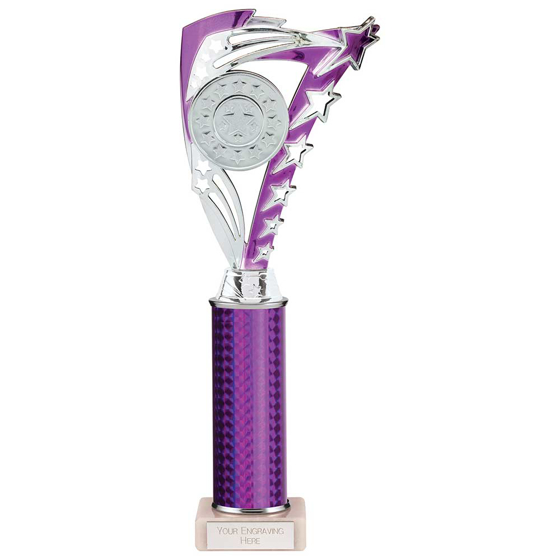 Picture of Frenzy Multisport Tube Trophy Silver & Purple 315mm