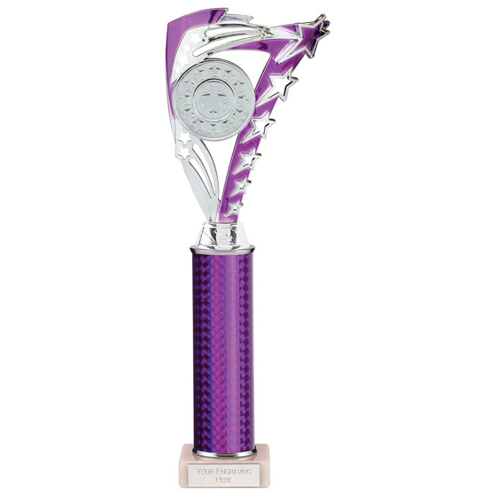 Picture of Frenzy Multisport Tube Trophy Silver & Purple 340mm