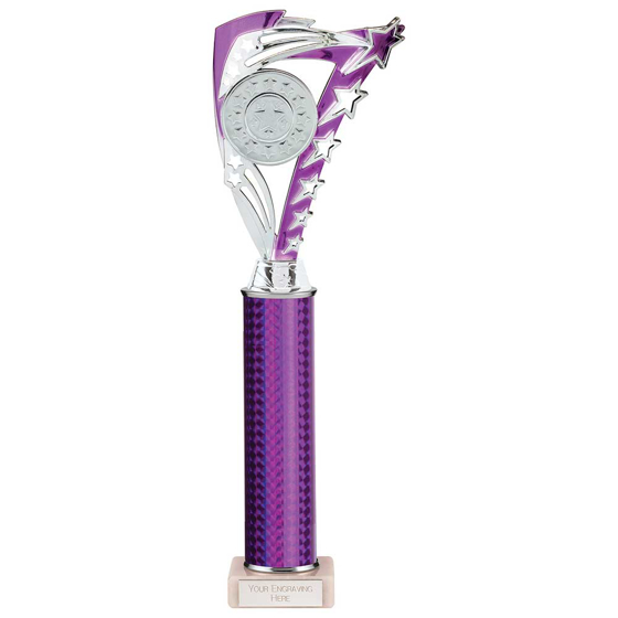 Picture of Frenzy Multisport Tube Trophy Silver & Purple 365mm