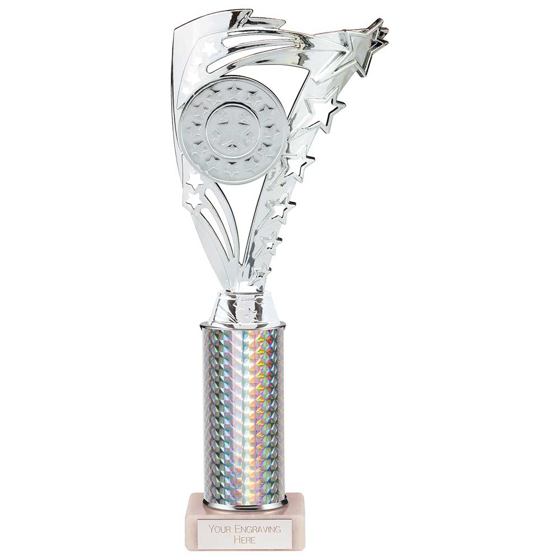 Picture of Frenzy Multisport Tube Trophy Silver 290mm