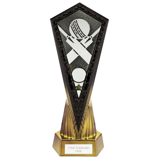 Picture of Inferno Cricket Award Carbon Black & Fusion Gold 270mm