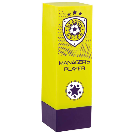 Picture of Prodigy Tower Managers Player Award Yellow & Purple 160mm