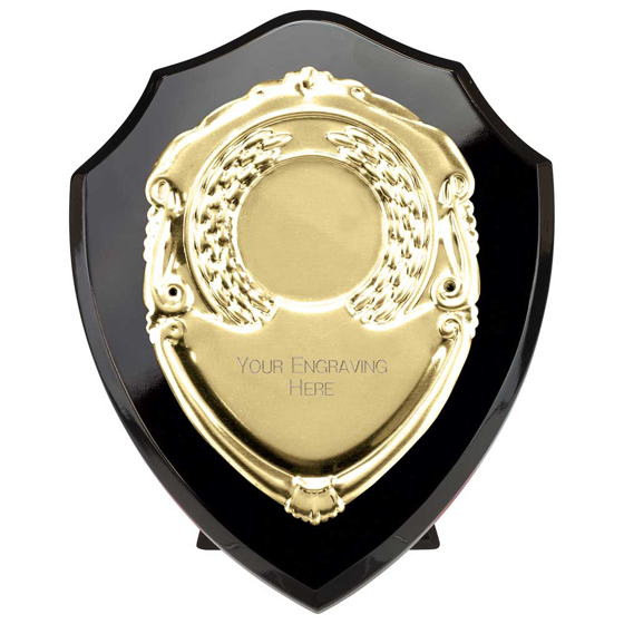 Picture of Reward Shield & Front Epic Black & Gold 100mm