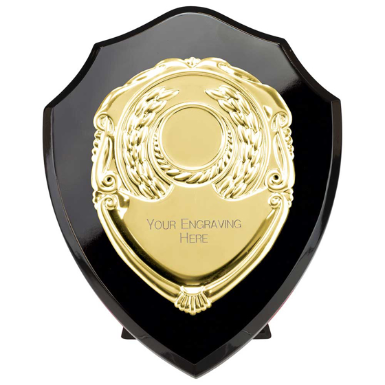 Picture of Reward Shield & Front Epic Black & Gold 150mm