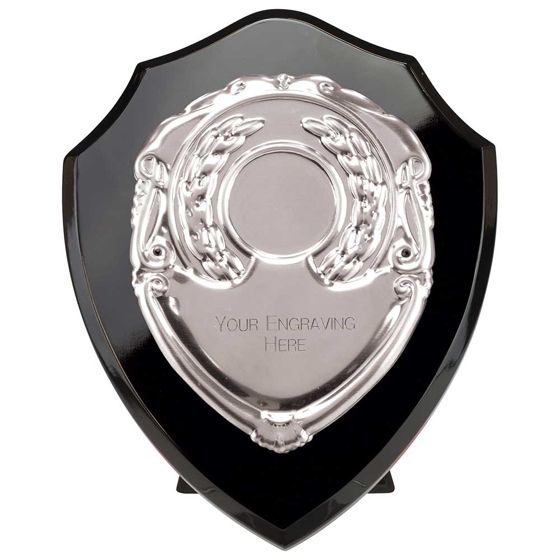 Picture of Reward Shield & Front Epic Black & Silver 125mm