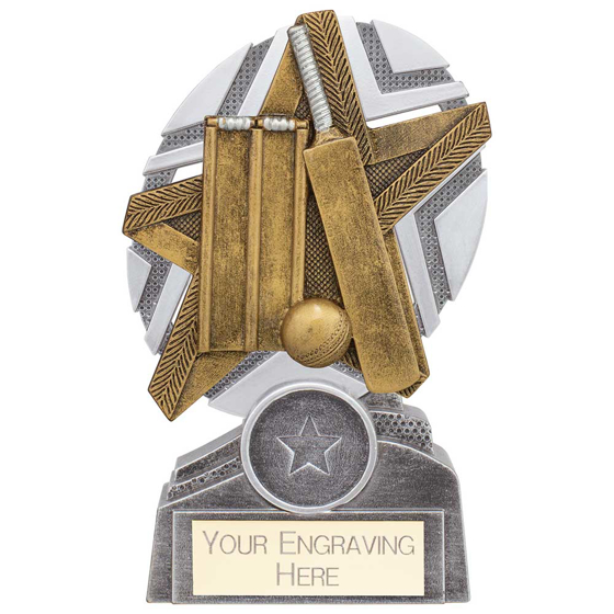 Picture of The Stars Cricket Plaque Award Silver & Gold 130mm