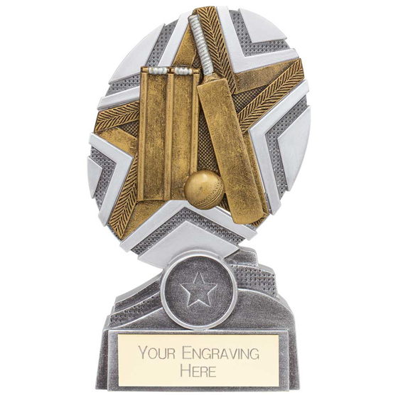 Picture of The Stars Cricket Plaque Award Silver & Gold 150mm