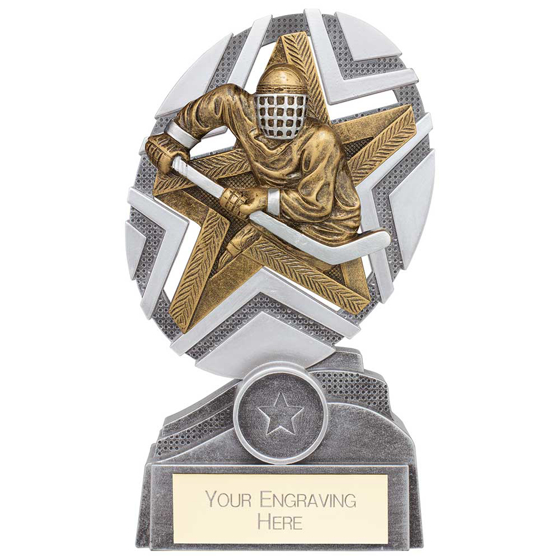 Picture of The Stars Ice Hockey Plaque Award Silver & Gold 170mm