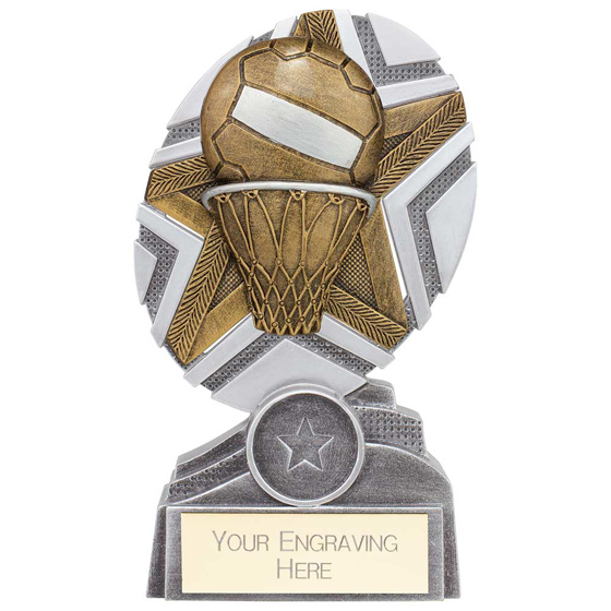 Picture of The Stars Netball Plaque Award Silver & Gold 150mm