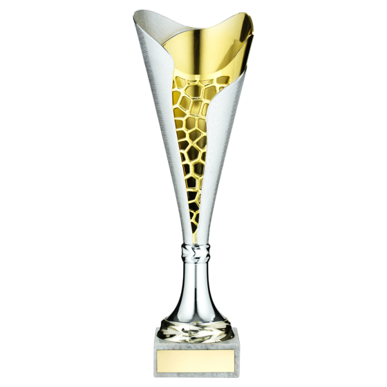 Picture of SILVER/GOLD PLASTIC STIPPLED TROPHY CUP WITH PLATE - 13in