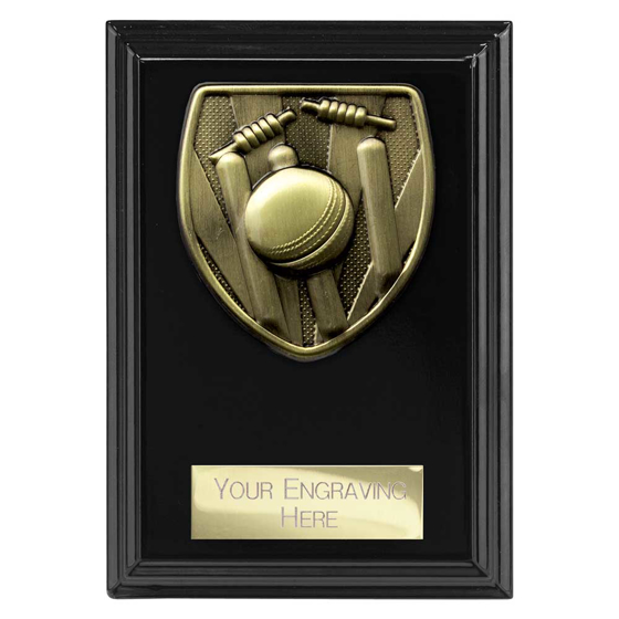 Picture of Cobra Plaque Cricket Award Epic Black 125mm