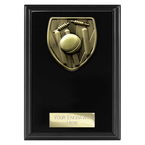 Picture of Cobra Plaque Cricket Award Epic Black 150mm