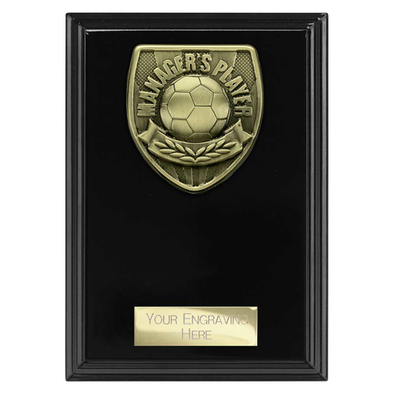 Picture of Cobra Plaque Managers Player Award Epic Black 150mm