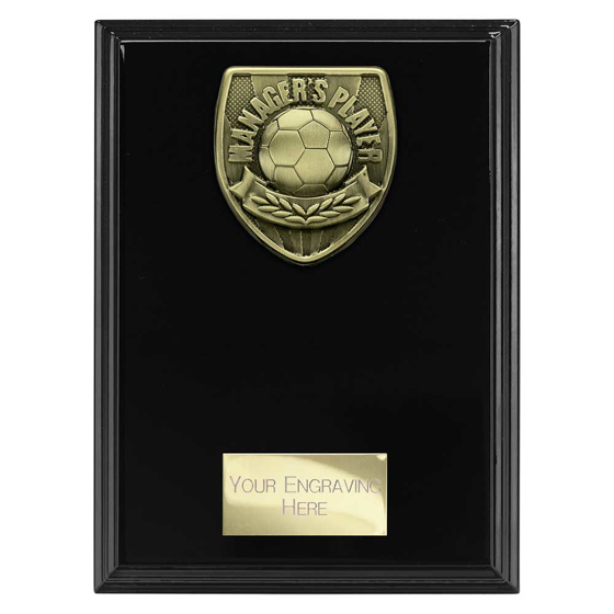 Picture of Cobra Plaque Managers Player Award Epic Black 175mm