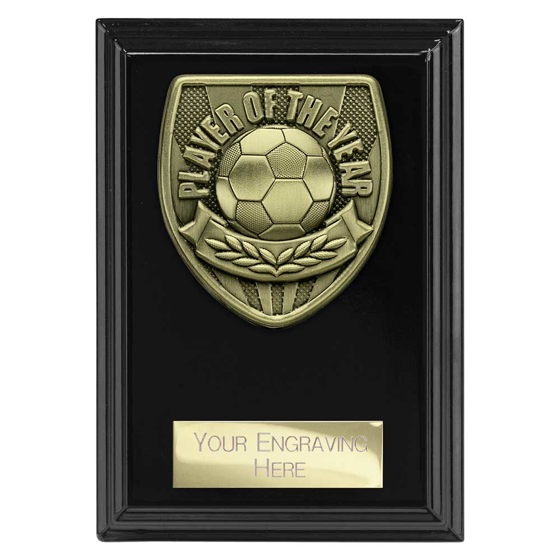 Picture of Cobra Plaque Player of Year Award Epic Black 125mm