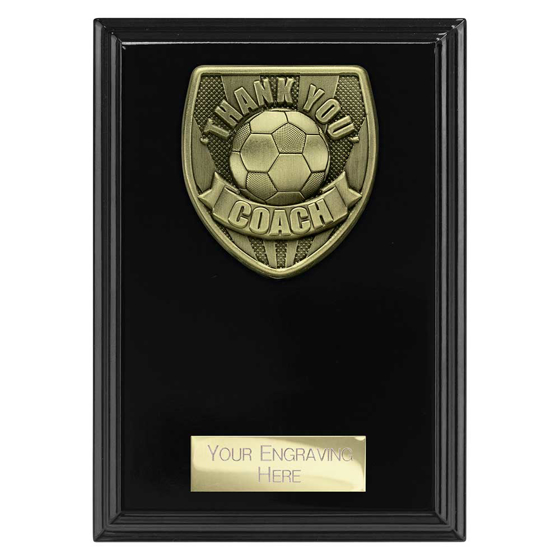 Picture of Cobra Plaque Thank you Coach Award Epic Black 150mm