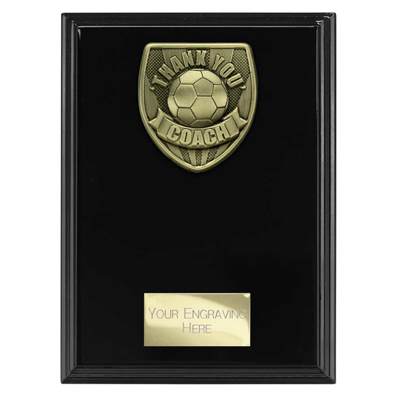 Picture of Cobra Plaque Thank you Coach Award Epic Black 175mm